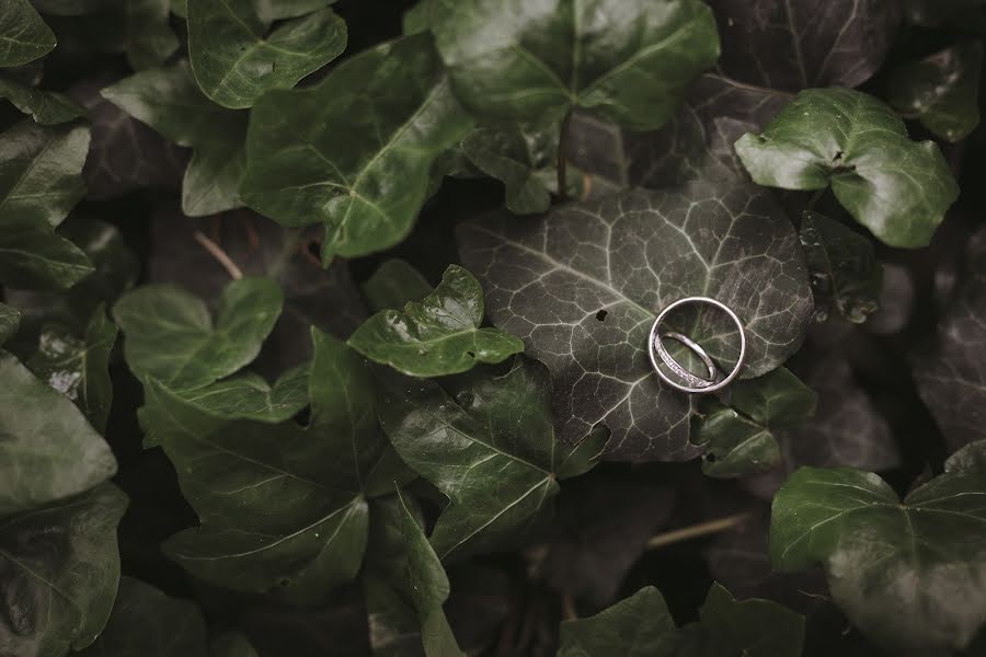 Fotógrafo de bodas Máté Németh (matenemeth). Foto del 25 de febrero 2022