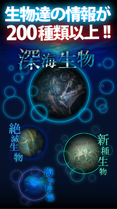 【グロ注意】深海生物〜新種!絶滅種!世界の驚くべき生き物たちのおすすめ画像5