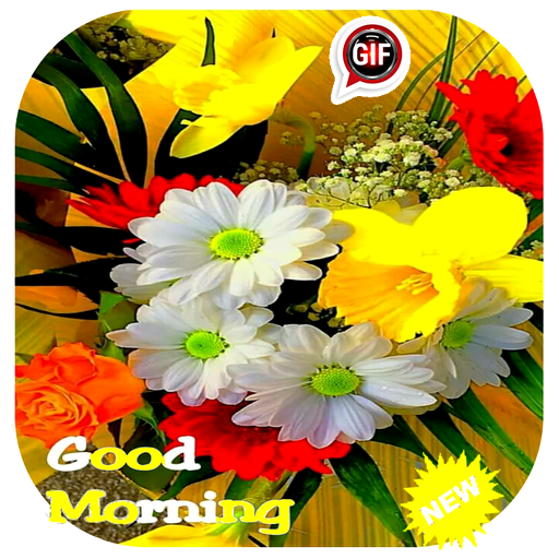 Good morning Good Afternoon images wishes