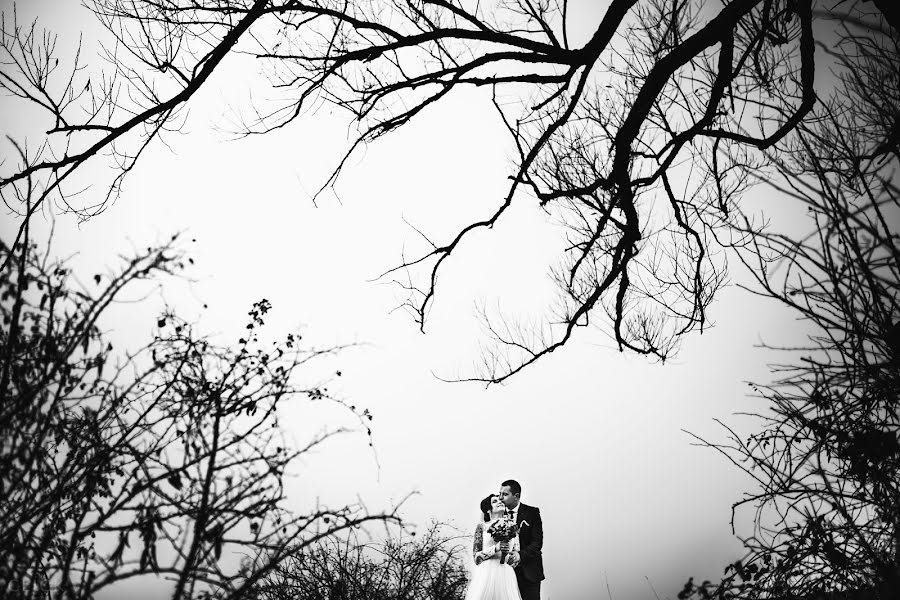 婚礼摄影师Oleksandr Kernyakevich（alex94）。2016 11月28日的照片