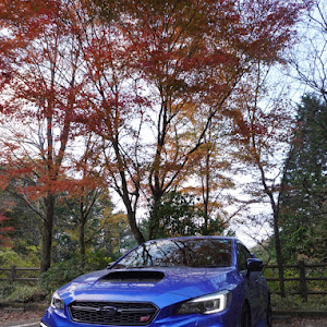 WRX S4 VAG