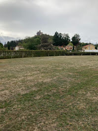 terrain à Saint-Romain-le-Puy (42)