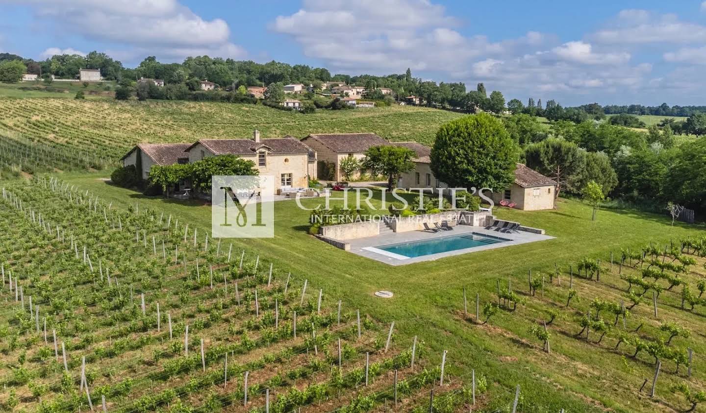 Vineyard Saint-Emilion