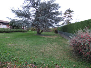 terrain à Montrond-les-Bains (42)