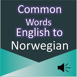 Common Words English Norwegian  Icon