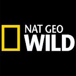 Cover Image of Tải xuống Nat Geo Wild 1.0.1 APK