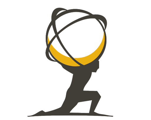 Elite Virtual Solutions logo