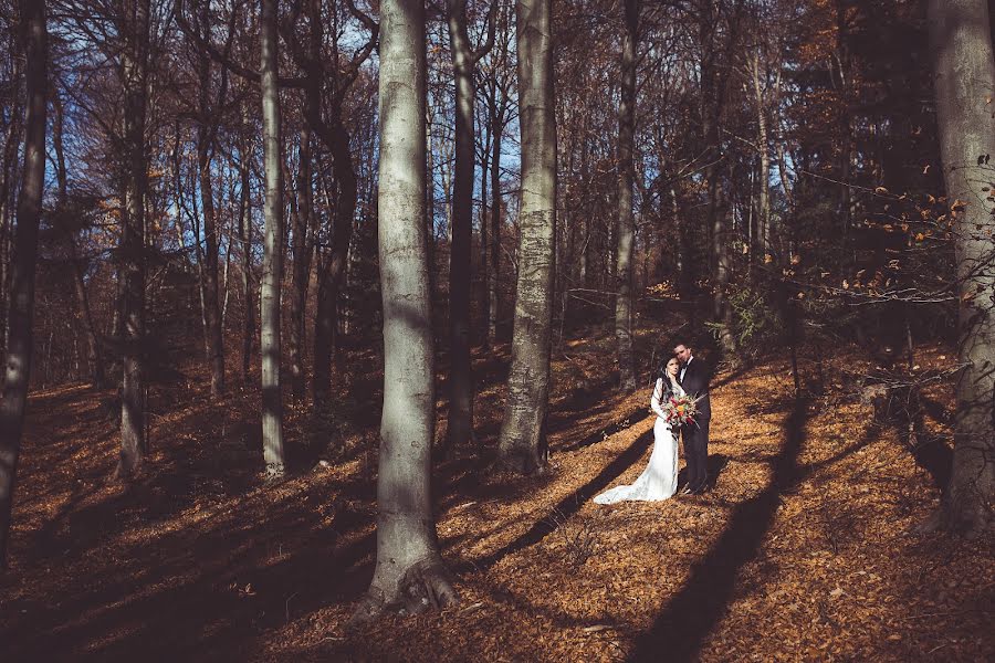 Fotógrafo de casamento Kasia Wesoly (kasiawesoly). Foto de 29 de setembro 2020