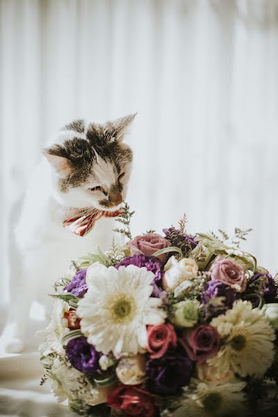 Fotógrafo de casamento Pankkara Larrea (pklfotografia). Foto de 30 de agosto 2017