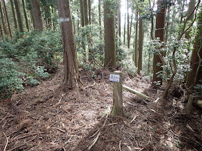 春日山