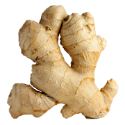 Health Benefits of Ginger 1.4 Icon