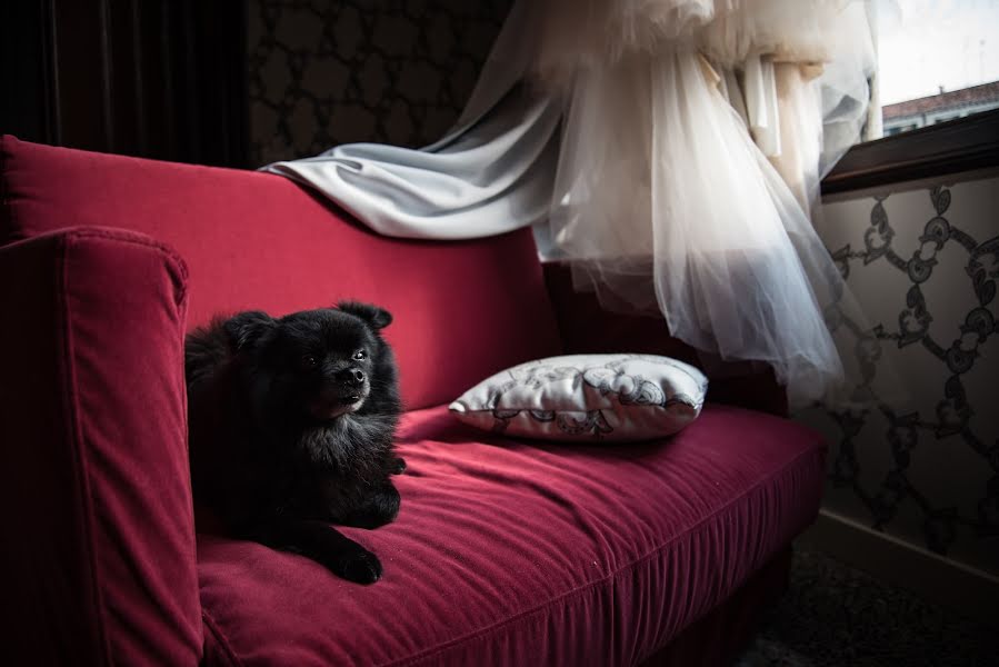 Fotografo di matrimoni Larisa Paschenko (laraphotographer). Foto del 26 gennaio 2019