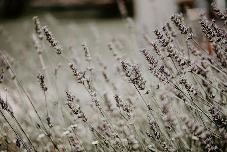 Wedding photographer Francesco Gravina (fotogravina). Photo of 23 January 2019