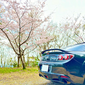 RX-8 SE3P