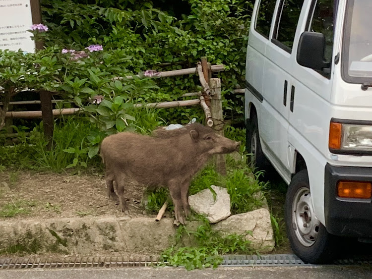 の投稿画像7枚目