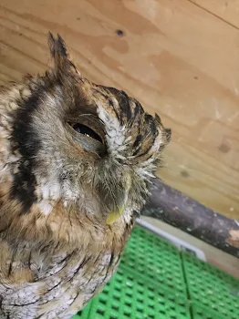 2人きりの映画館