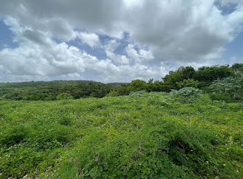 terrain à Le gosier (971)