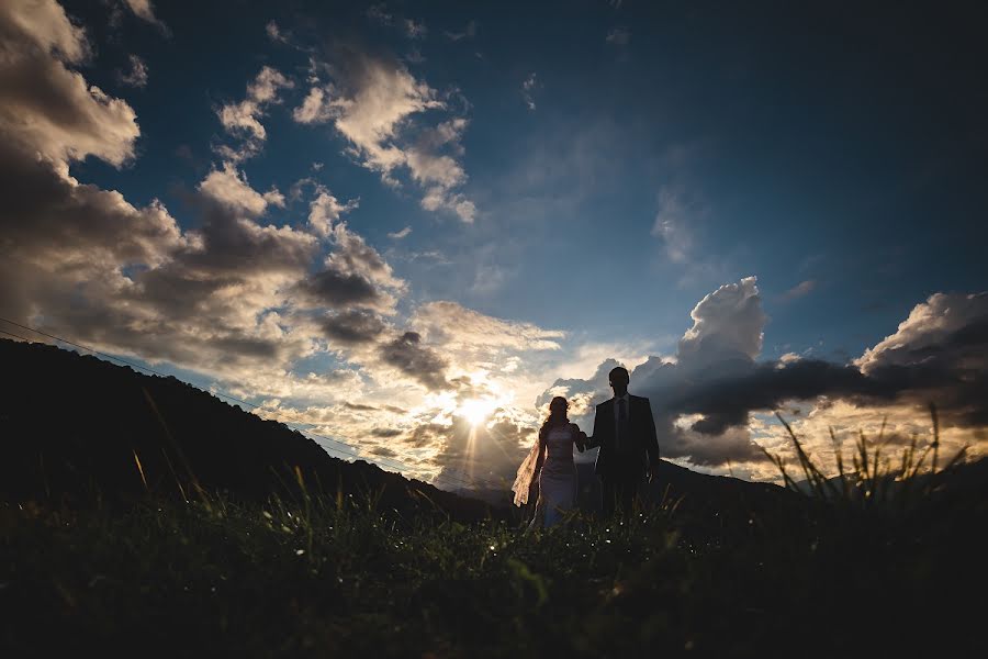 Photographe de mariage Dmitriy Palyunin (monitor). Photo du 31 janvier 2017