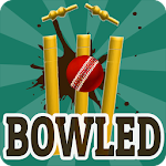 Bowled 3D - Cricket Game Apk