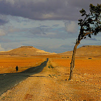 Verso Essouira di 