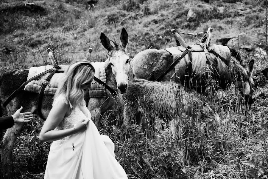 Fotografo di matrimoni Dragos Tanase (dragostanase). Foto del 26 agosto 2023