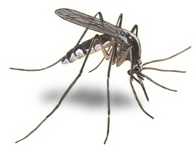 MosquitoControl(圖2)-速報App