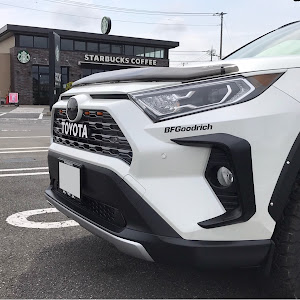 RAV4 AXAH54