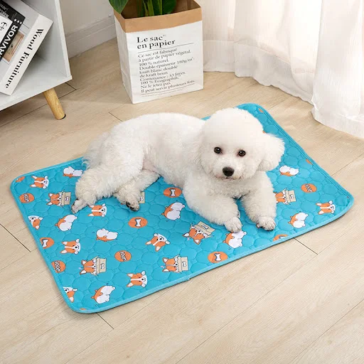 images slider number - 5