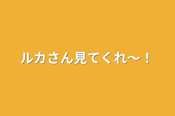 ルカさん見てくれ～！