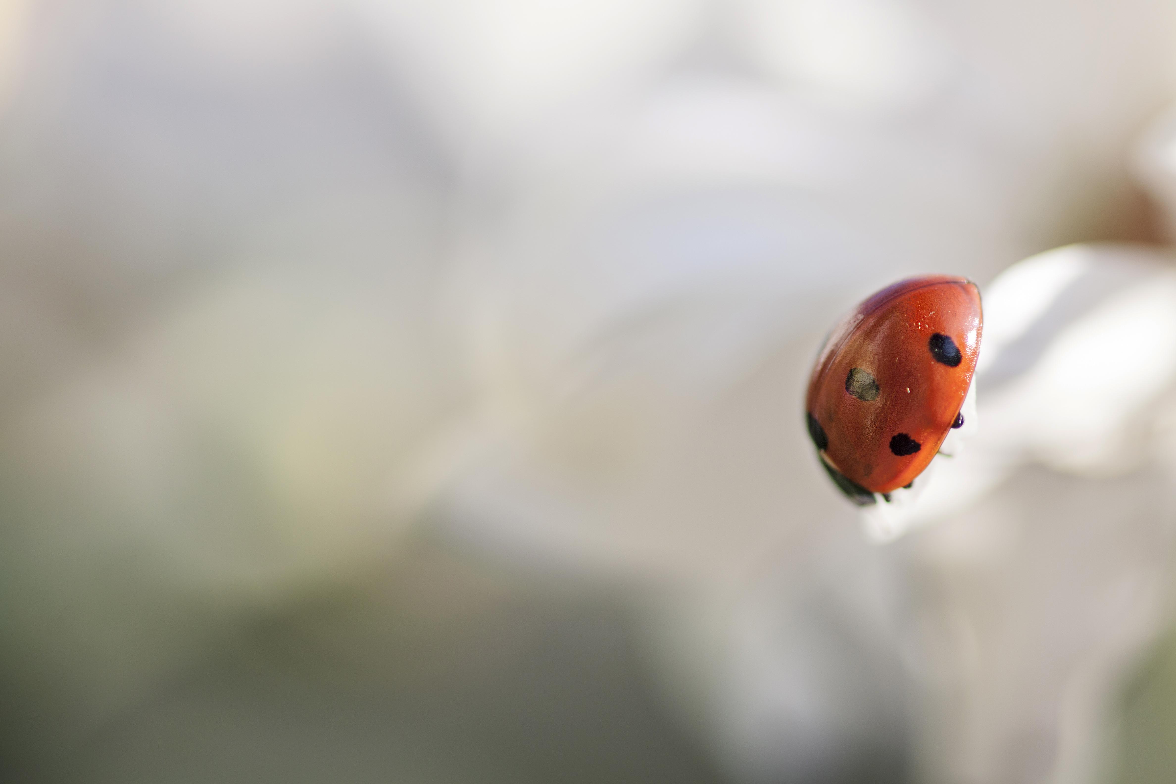 alone di Cinzia_torelli