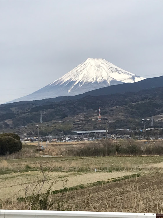 の投稿画像12枚目