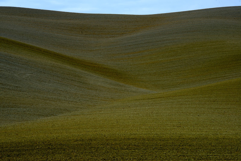 curve senesi di Ltz/rivadestra