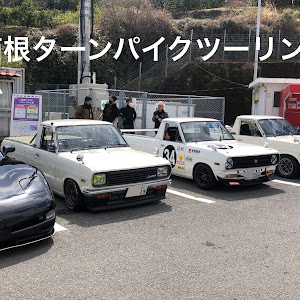 サニートラック