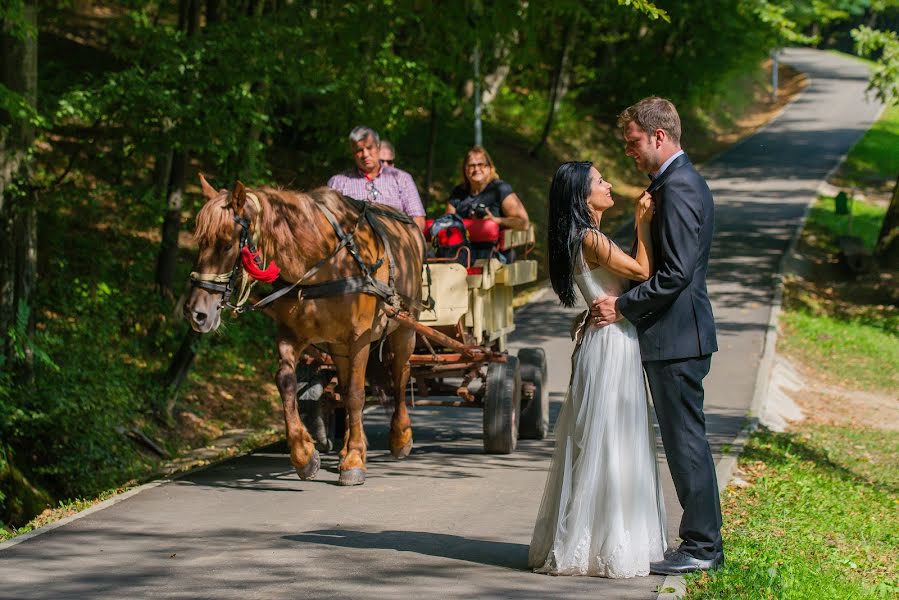 Fotógrafo de casamento Marius Calina (mariuscalina). Foto de 11 de março 2017