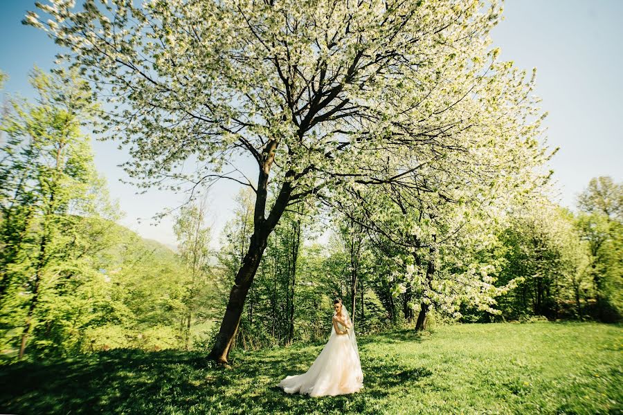 Fotógrafo de bodas Karl Geyci (karlheytsi). Foto del 26 de febrero 2019