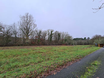 terrain à Saint-Front-de-Pradoux (24)