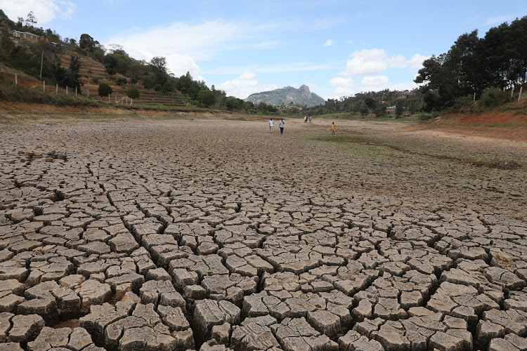 A section of the dried up Kishenyi dam in Werugha, Taita Taveta county. More than 15,000 people depend on water from the dam for irrigation and domestic use.