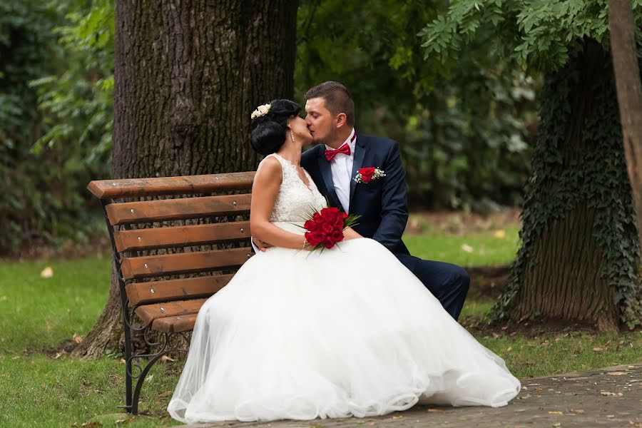 Wedding photographer Iulian Sofronie (iuliansofronie). Photo of 13 September 2015