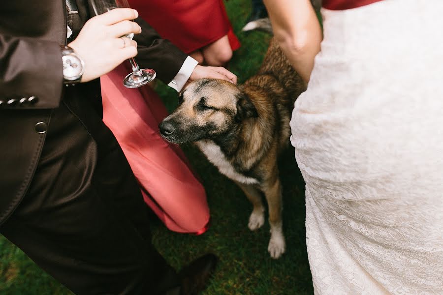 Wedding photographer Ekaterina Ermakova (ky-bik). Photo of 22 August 2017