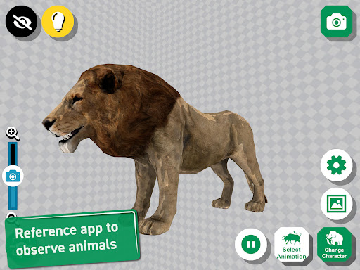 African Animals 3D