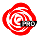 Sub Rosa Pro Download on Windows