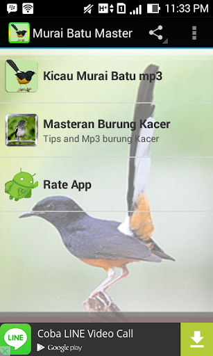 Murai Batu Master