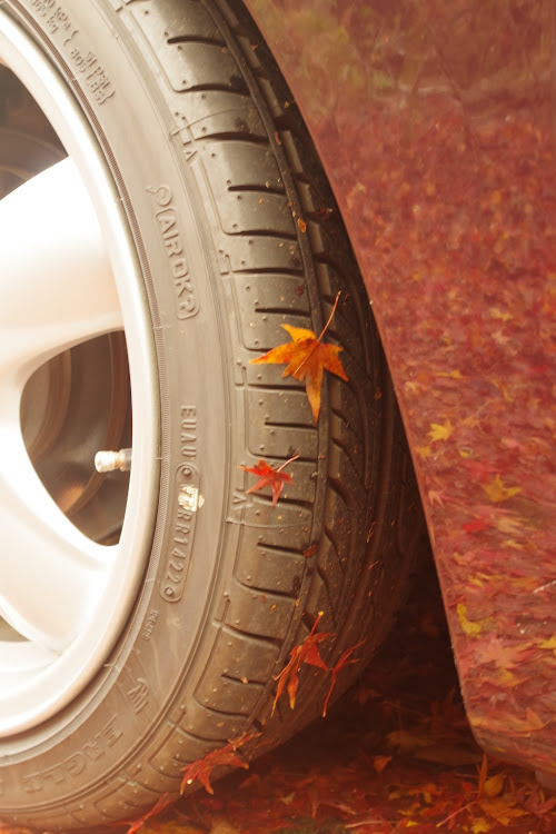 ミラ トコットの紅葉ドライブ・ドライブ・紅葉と愛車に関するカスタム事例の投稿画像6枚目