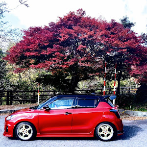 スイフトスポーツ ZC33S