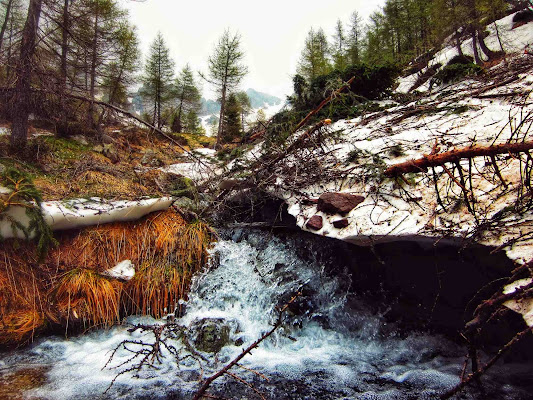 la forza impetuosa della natura di fifibz