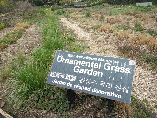 QBG Ornamental Grass Garden