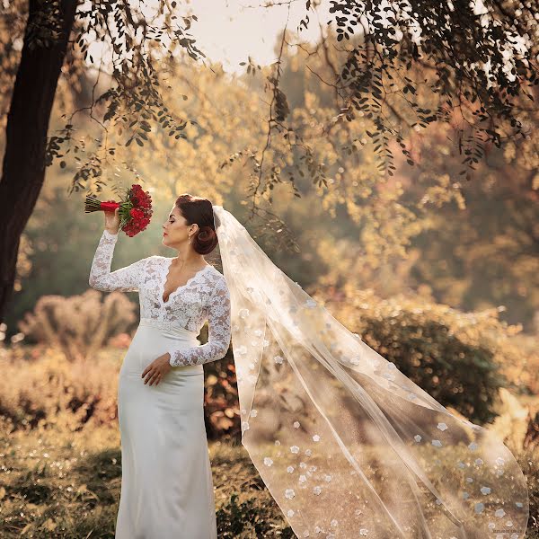 Photographe de mariage Aleksandr Lobach (lobach). Photo du 11 novembre 2014