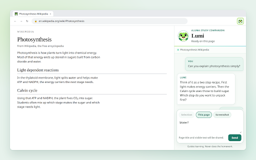Aluma — Lumi anywhere screenshot 3