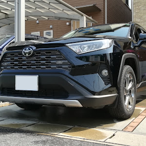 RAV4 MXAA54