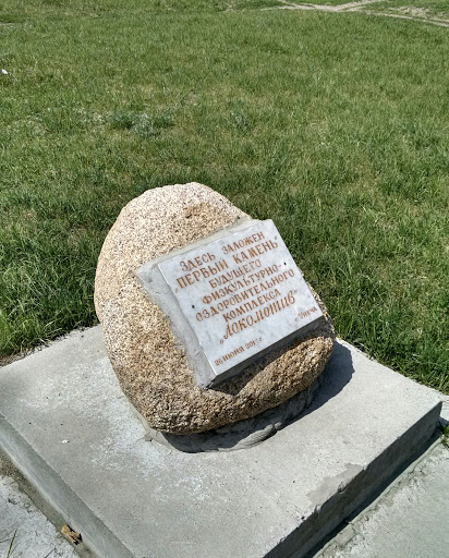 Locomotive Sport Center Stone